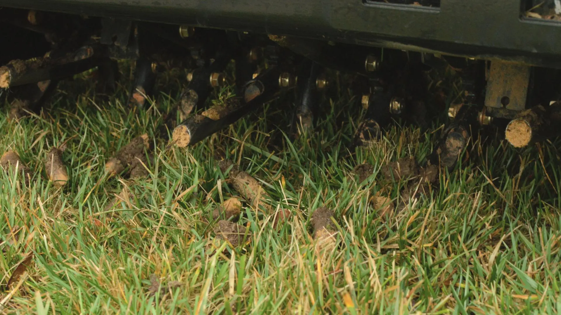 Aerator machine with core plugs in Gilbert, AZ.