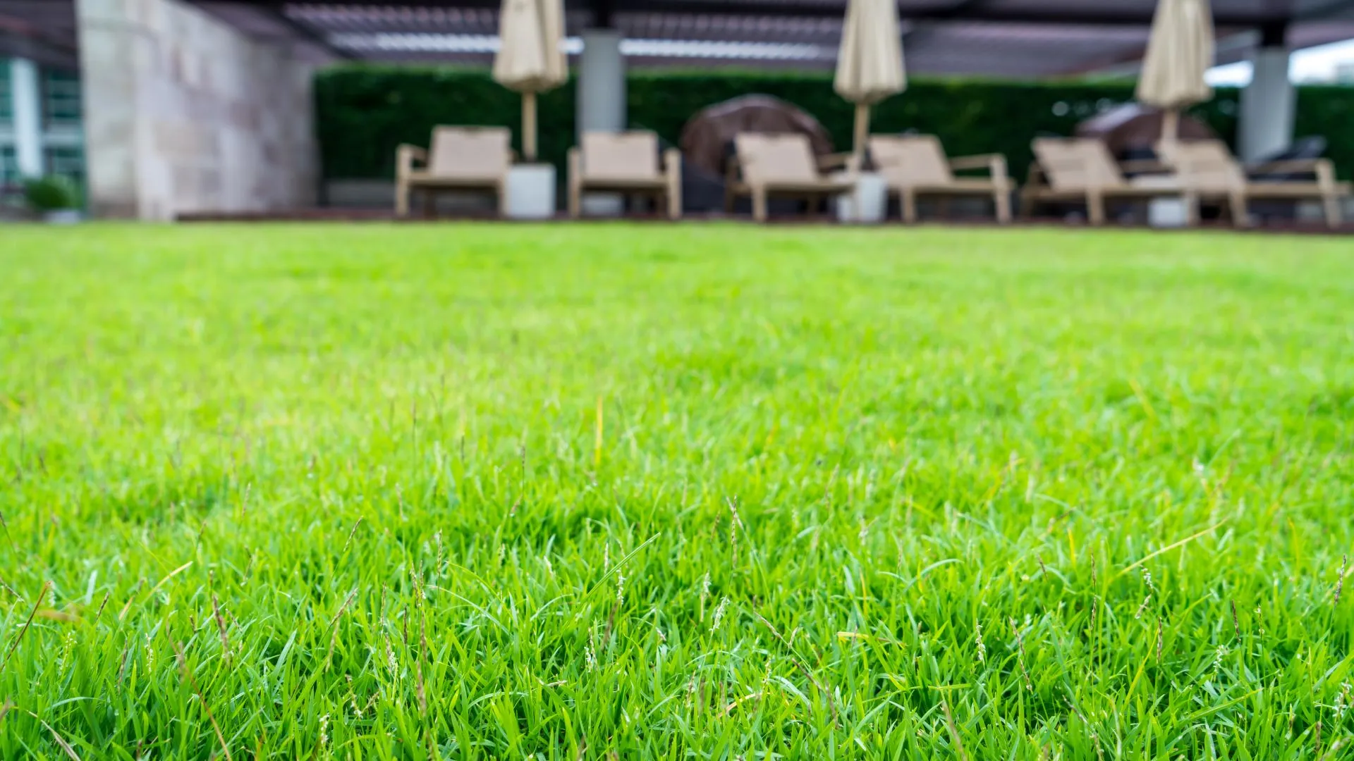 Now is the Time to Schedule Your Spring Cleanup Service in Gilbert, AZ