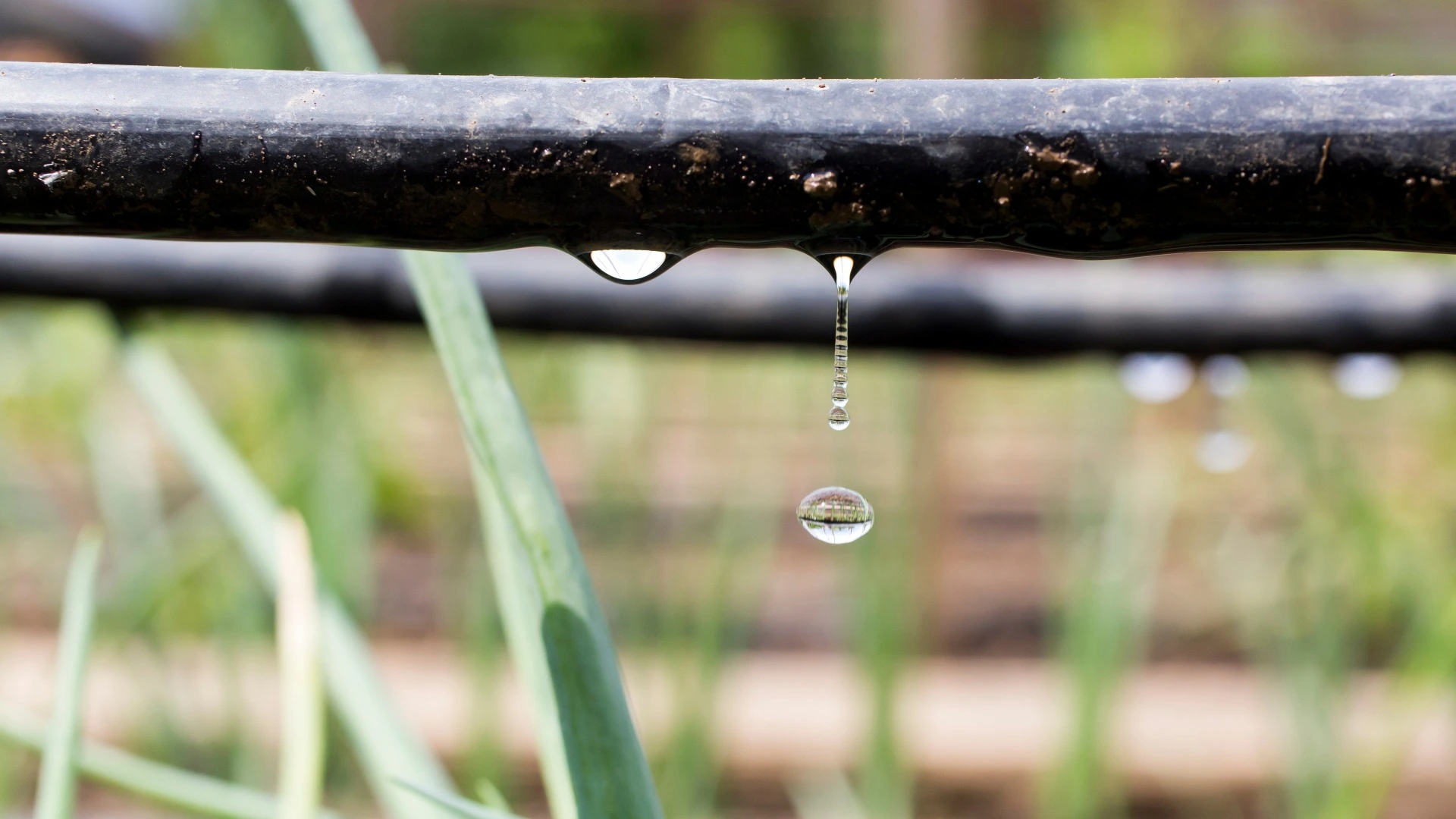 3 Reasons to Invest in a Drip Irrigation System for Your Property
