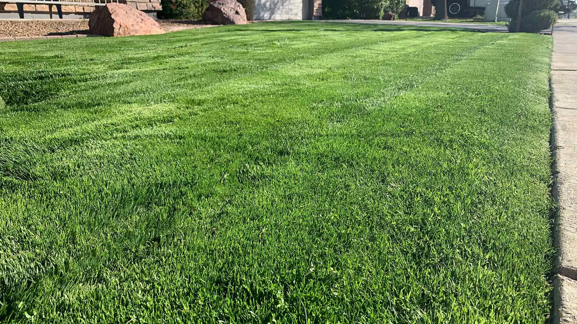 Home lawn with fertilization services in Gilbert, AZ.