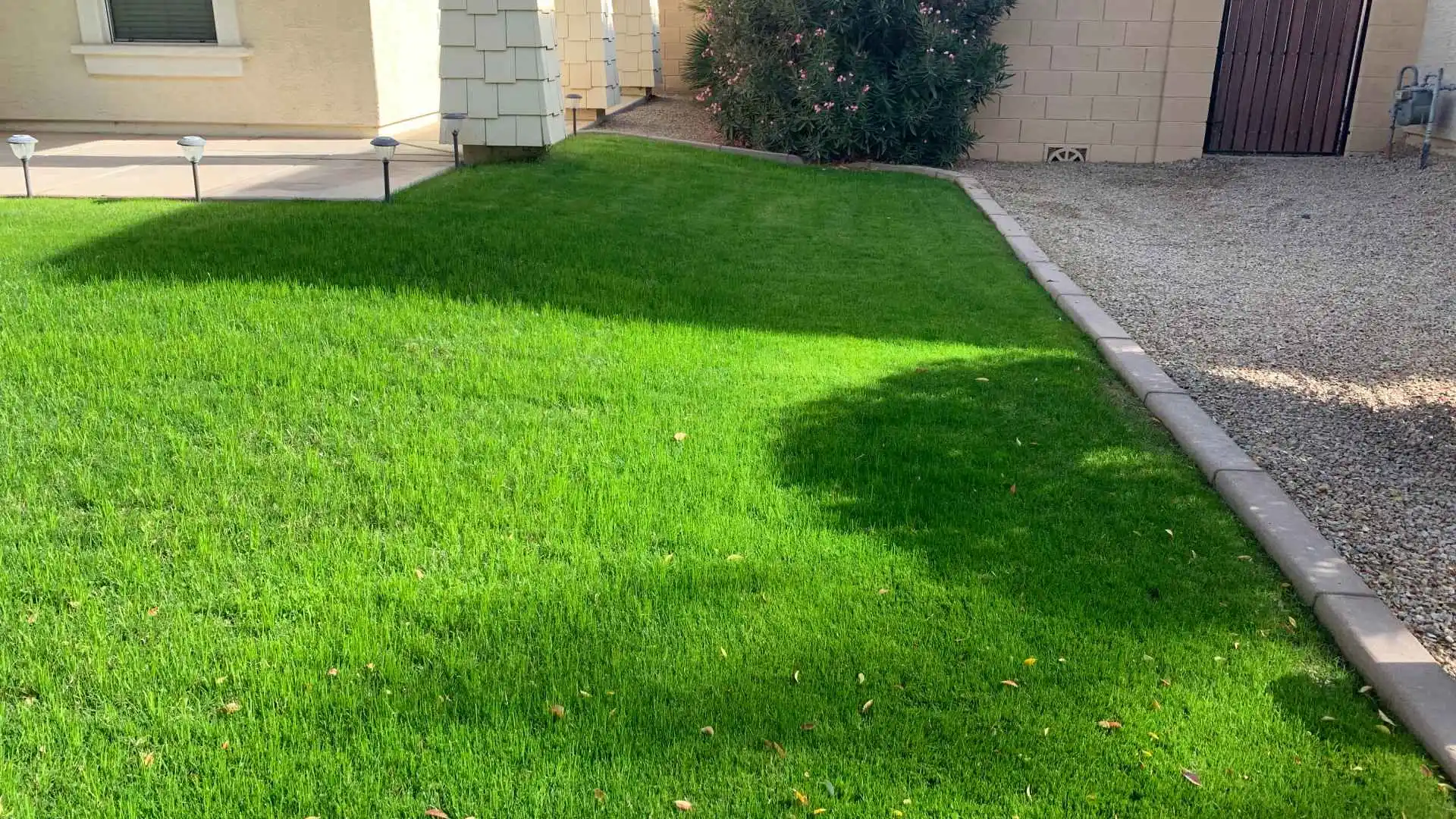 3 Common Mistakes People Make When Applying Fertilizer Themselves