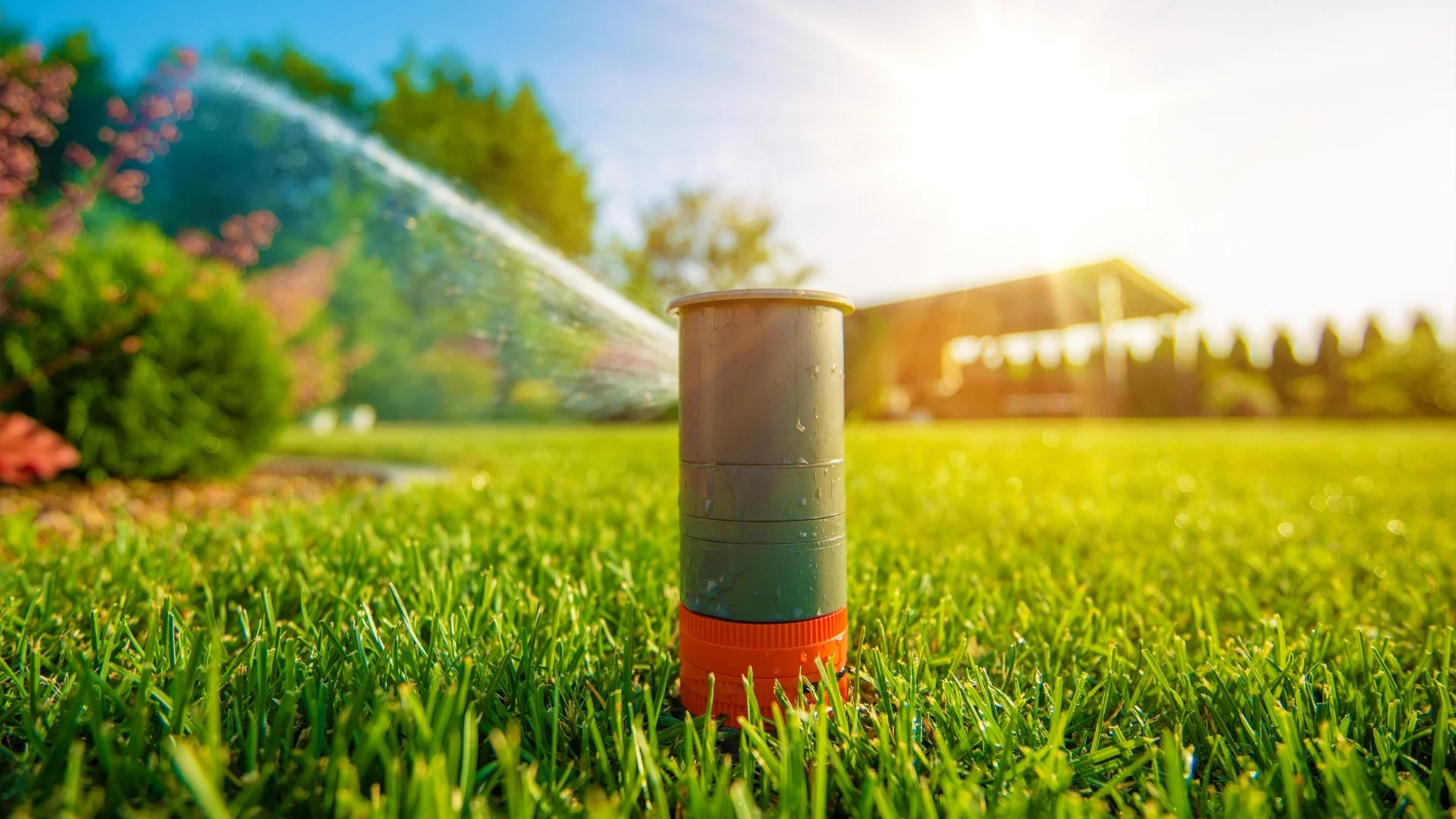 Is Investing in a Smart Irrigation System Worth It?