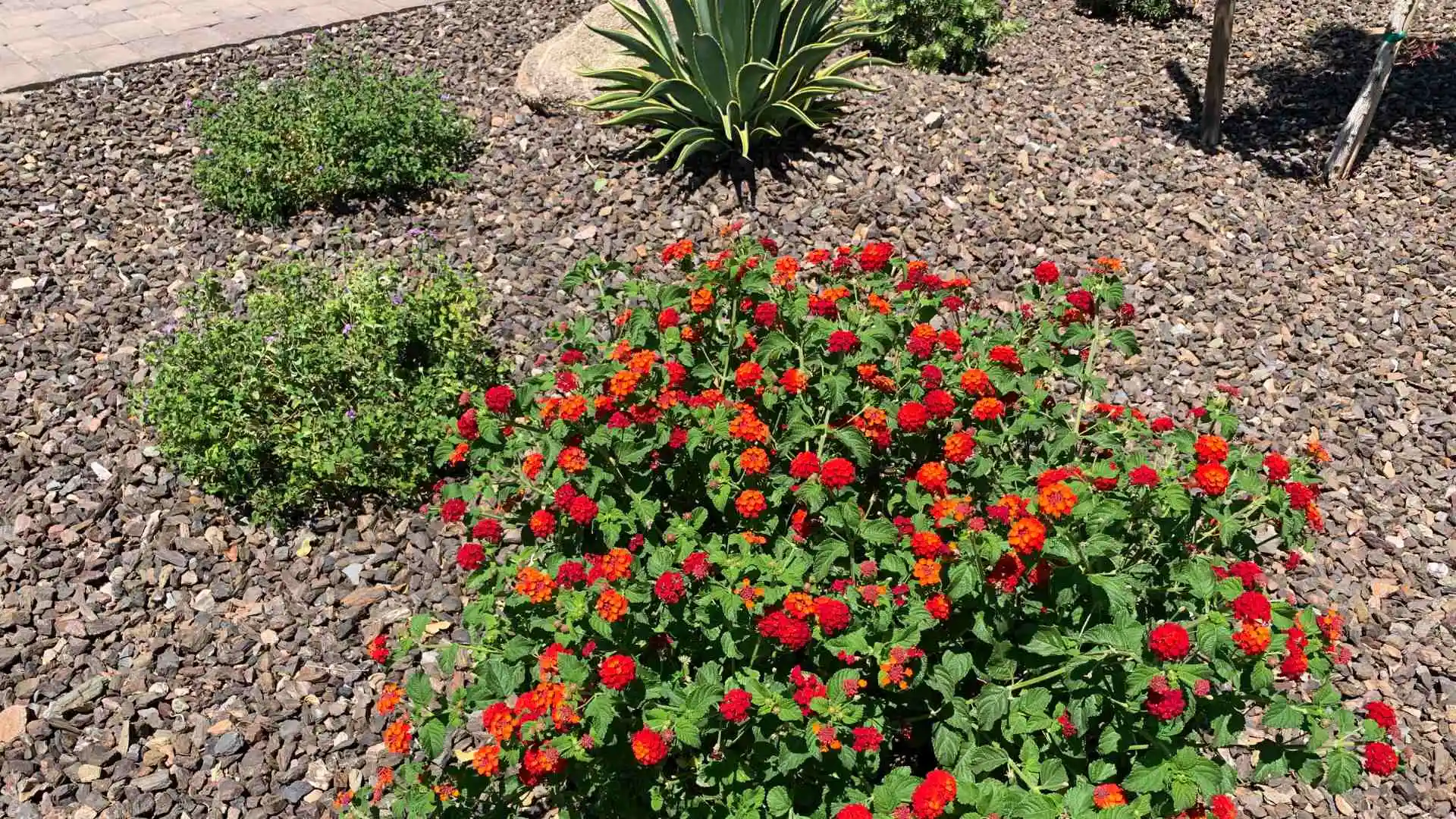 Prepare Your Landscape Beds for the Growing Season With These 3 Tasks!