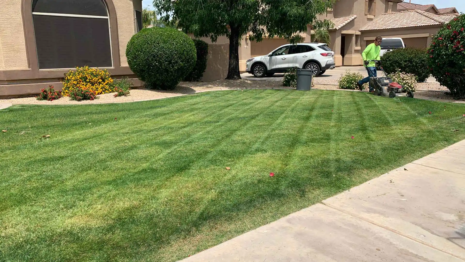What's the perfect mowing schedule for lawns in Arizona?