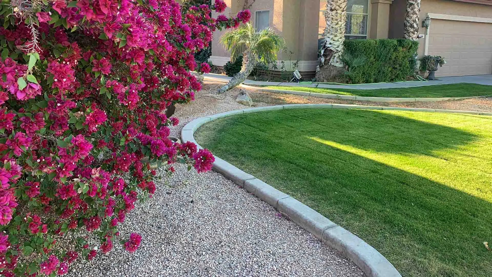 Landscape plantings and mulch bed in Gilbert, AZ.