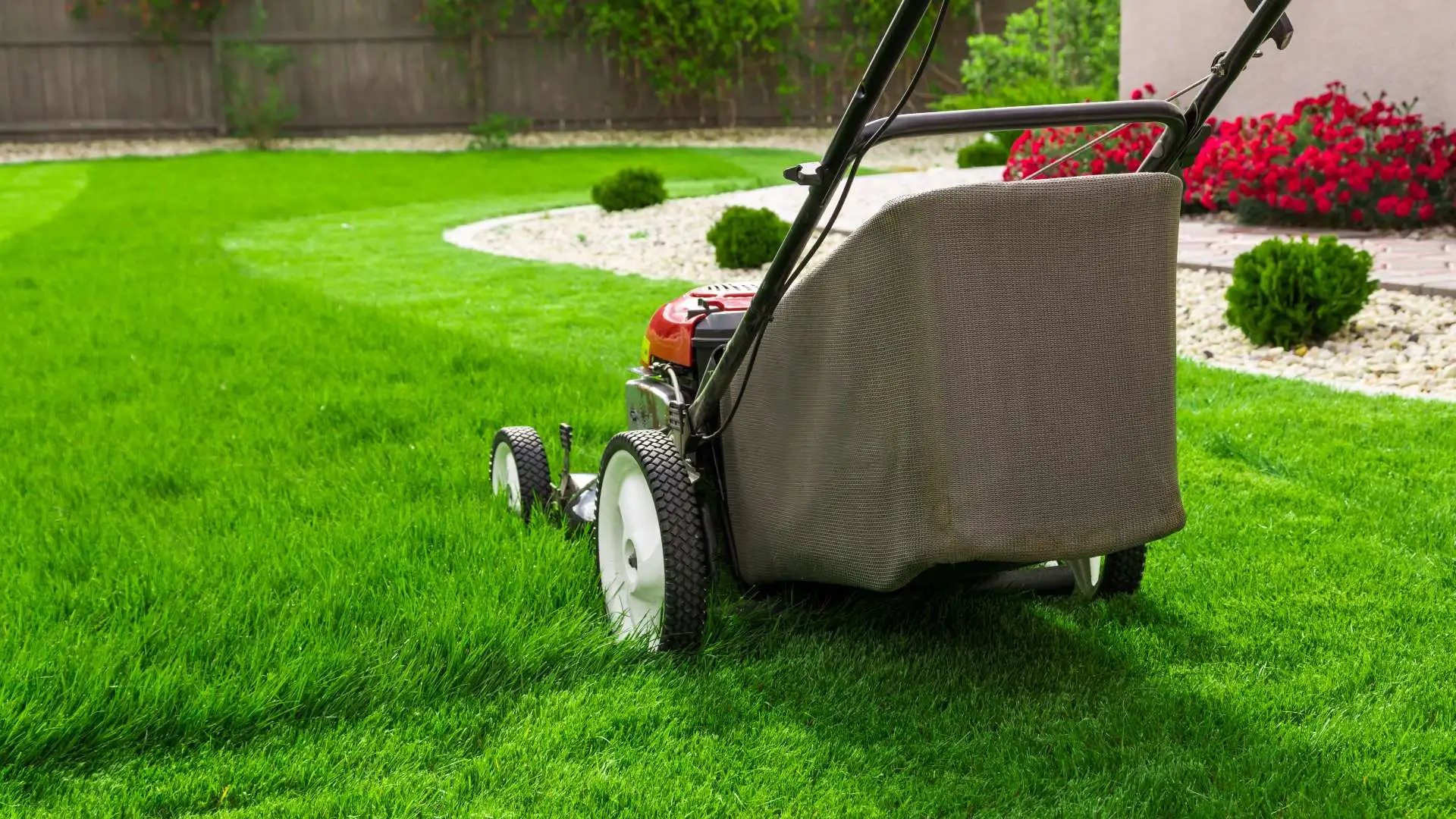 Tips for Mowing Newly Installed Sod
