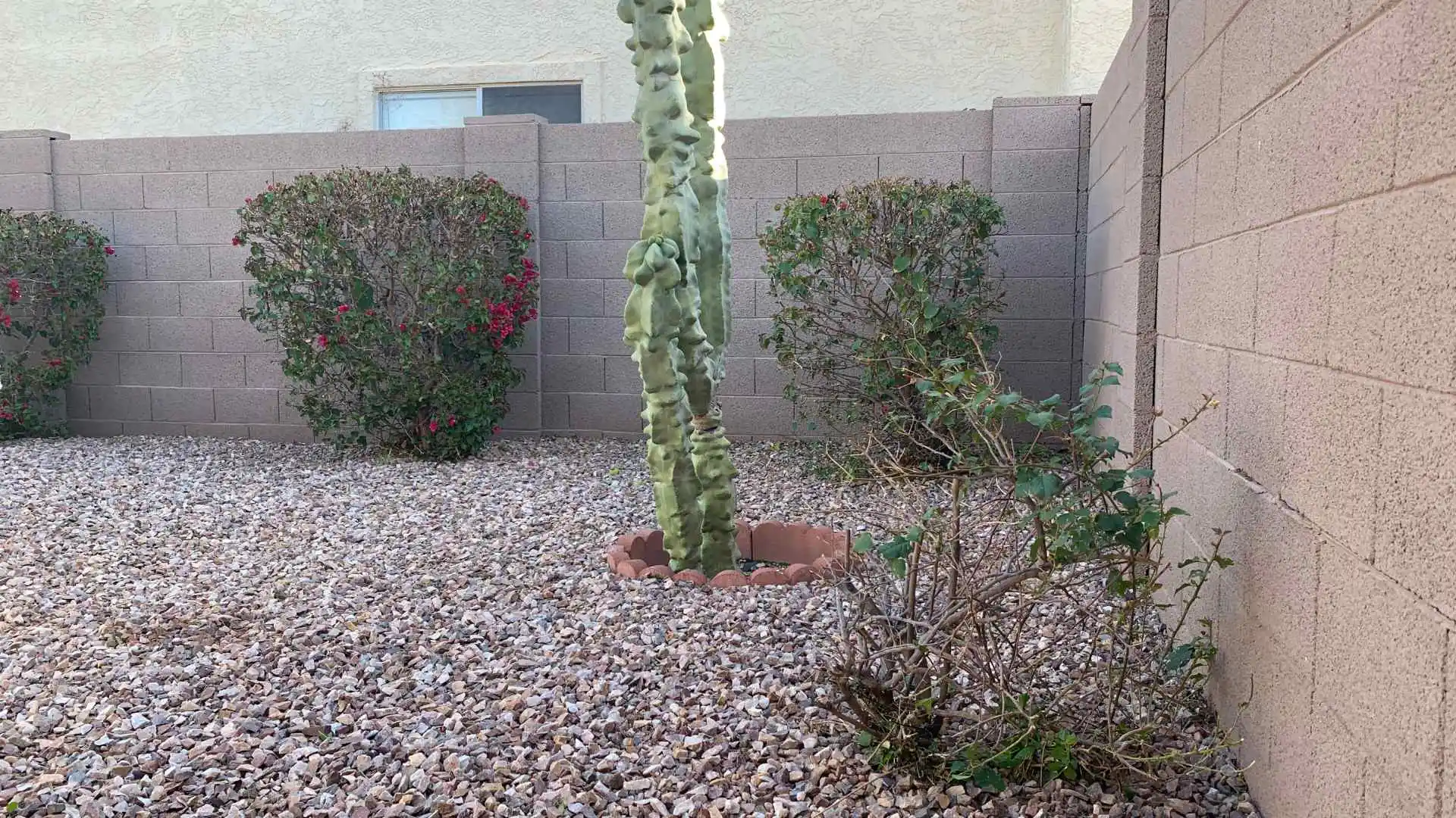Is There a Correct Way to Install a Rock Ground Cover? Yes!