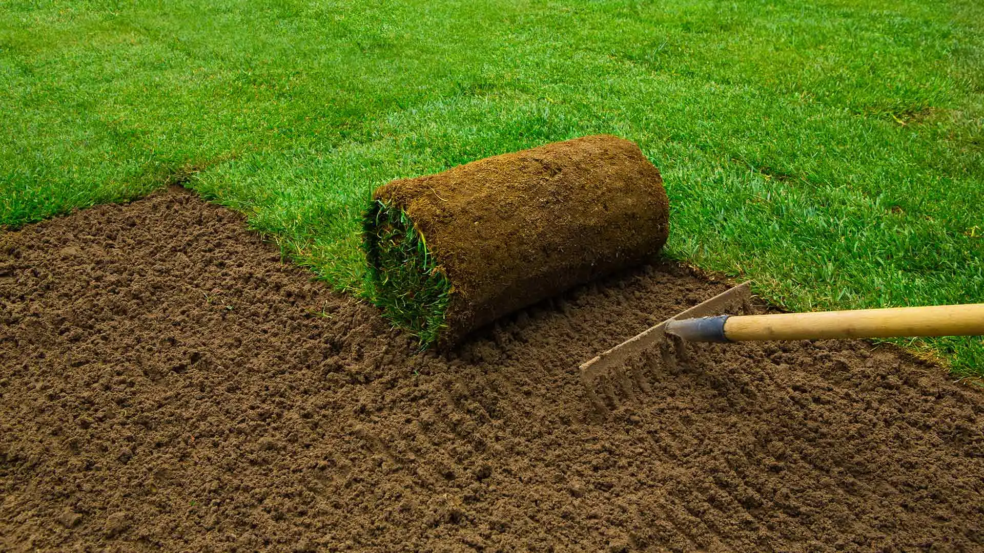 Sod installation in progress at a home in Gilbert, AZ.