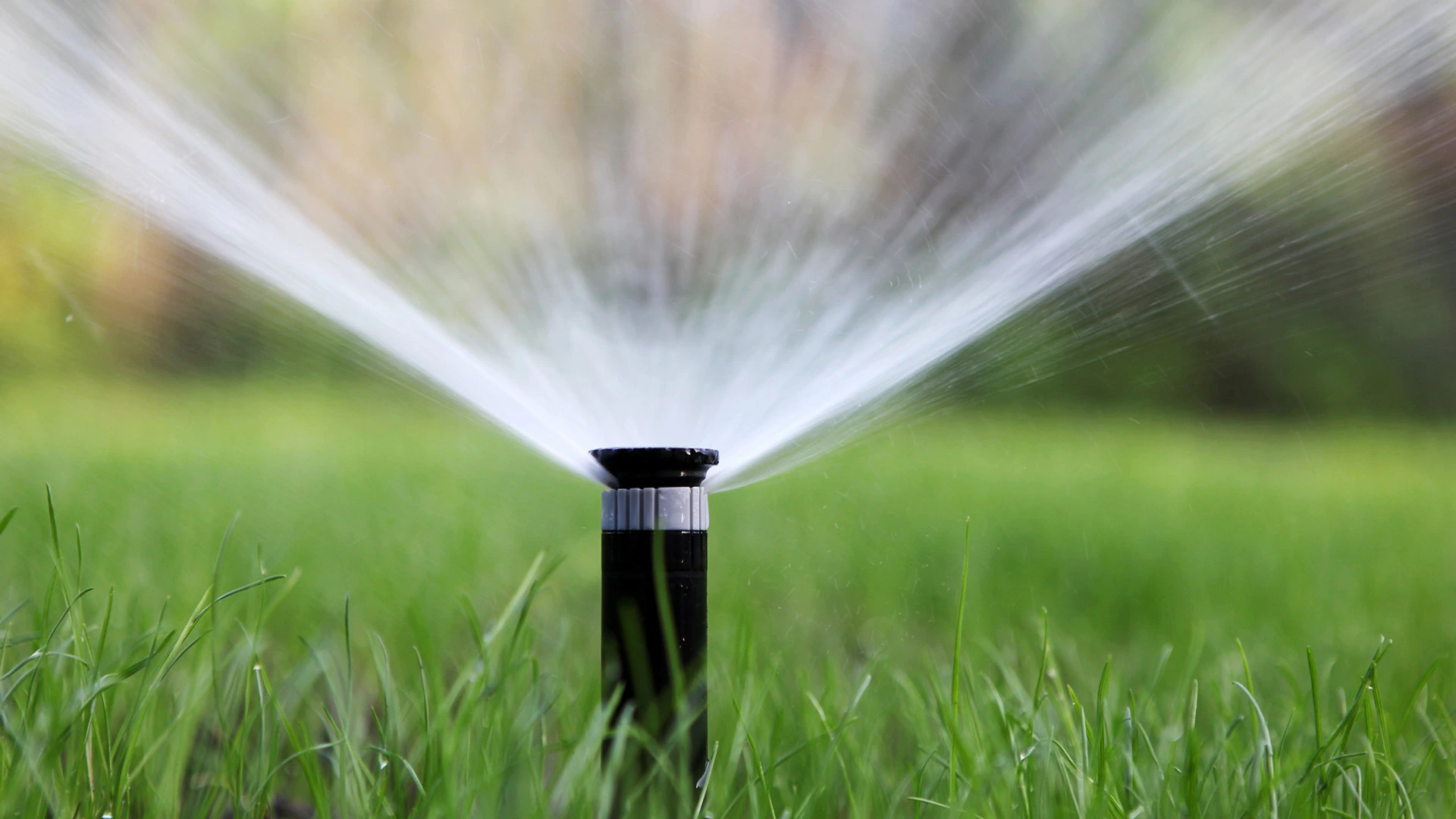 Need an Irrigation System? Choose the Right Company to Install It!