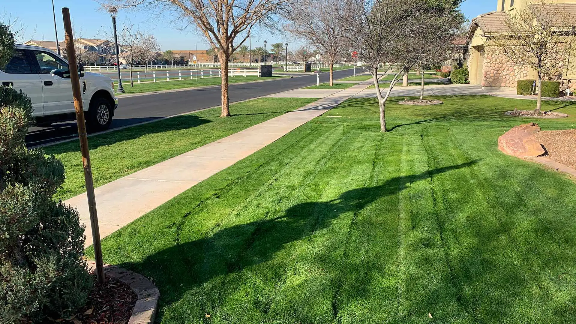 Mesa, Arizona home with a well maintained lawn.