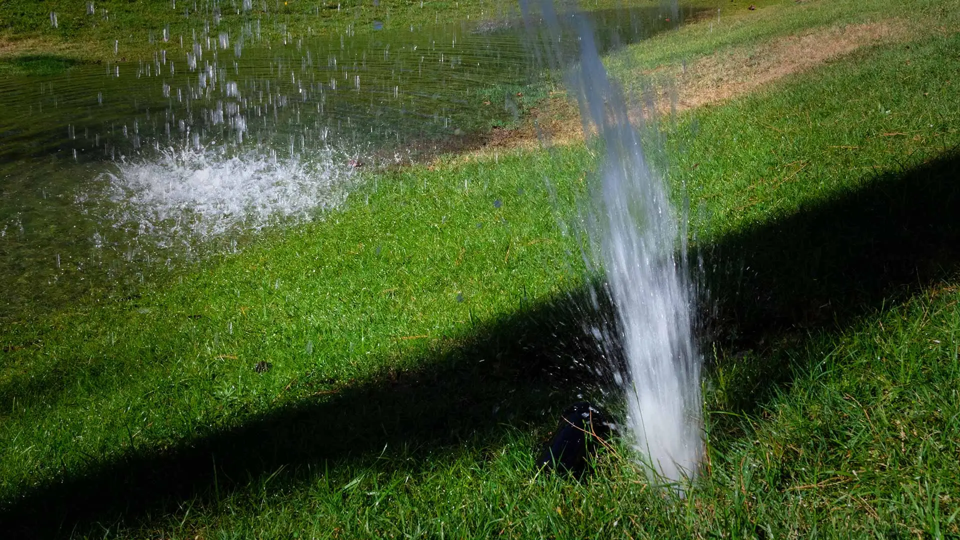 These Signs Could Mean Your Irrigation System Is in Need of Repair