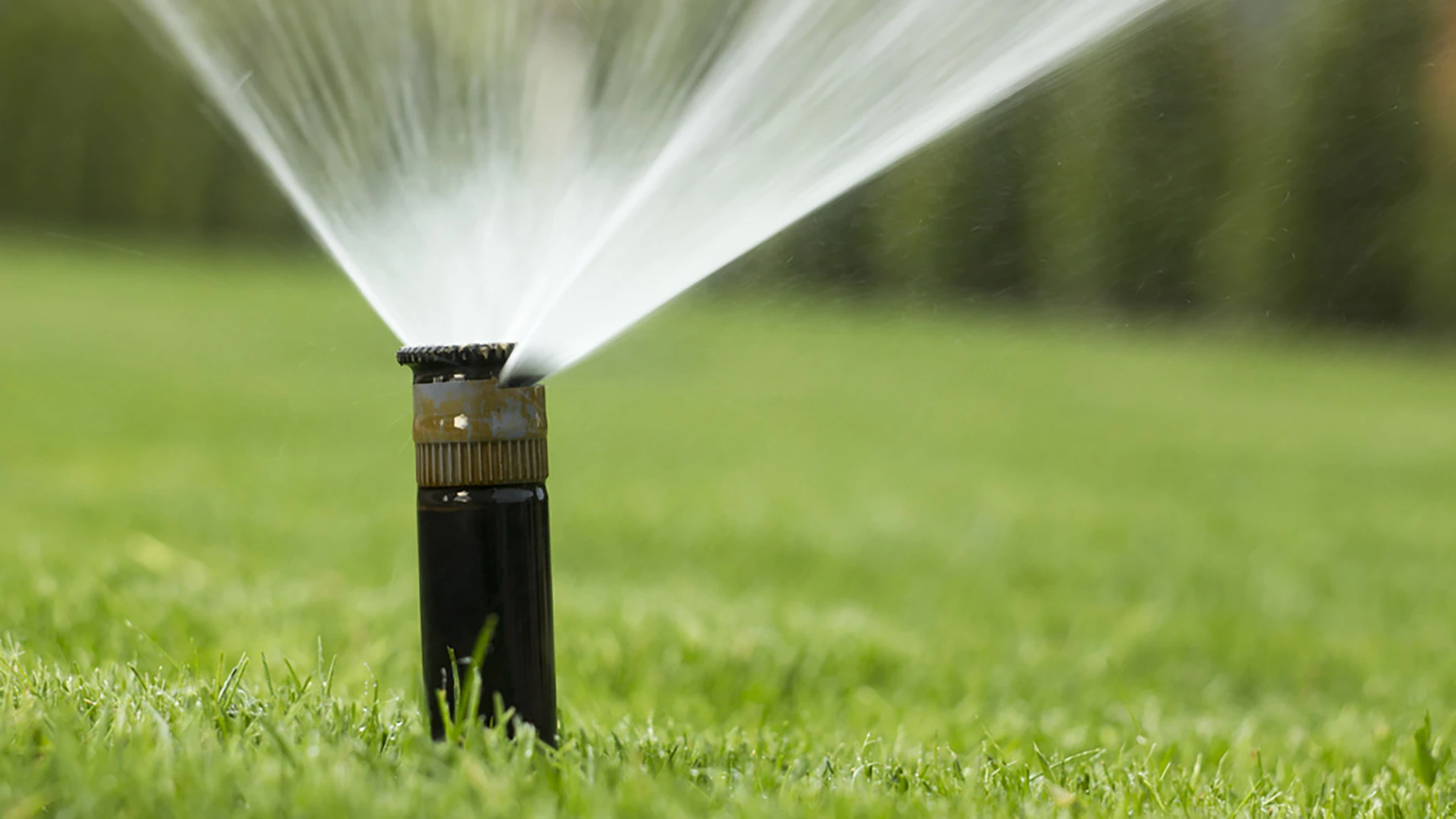 Don't Think Twice About Installing an Irrigation System!