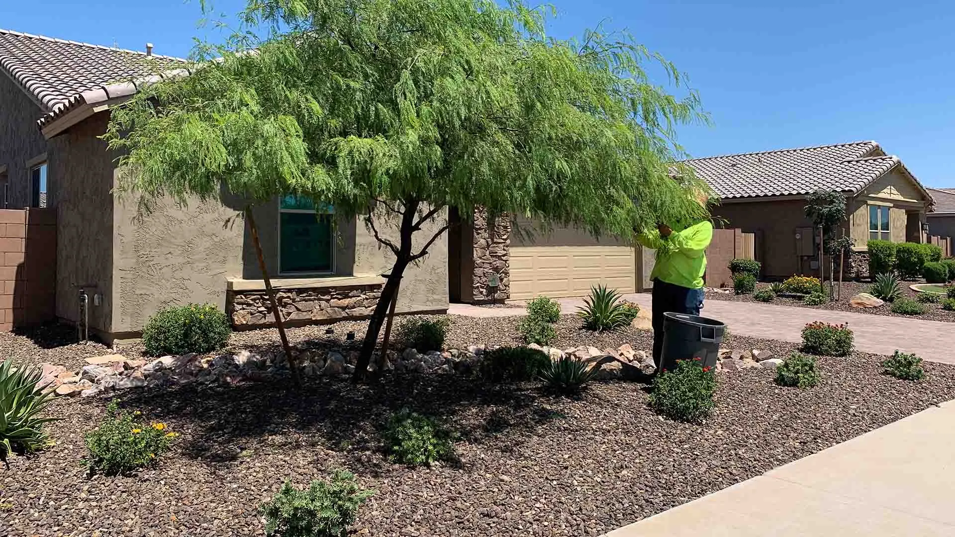 Trimming & Pruning - Do You Really Need Both?