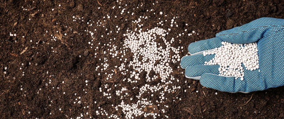 Fertilizer being applied to a patch of dirt in Mesa, AZ.