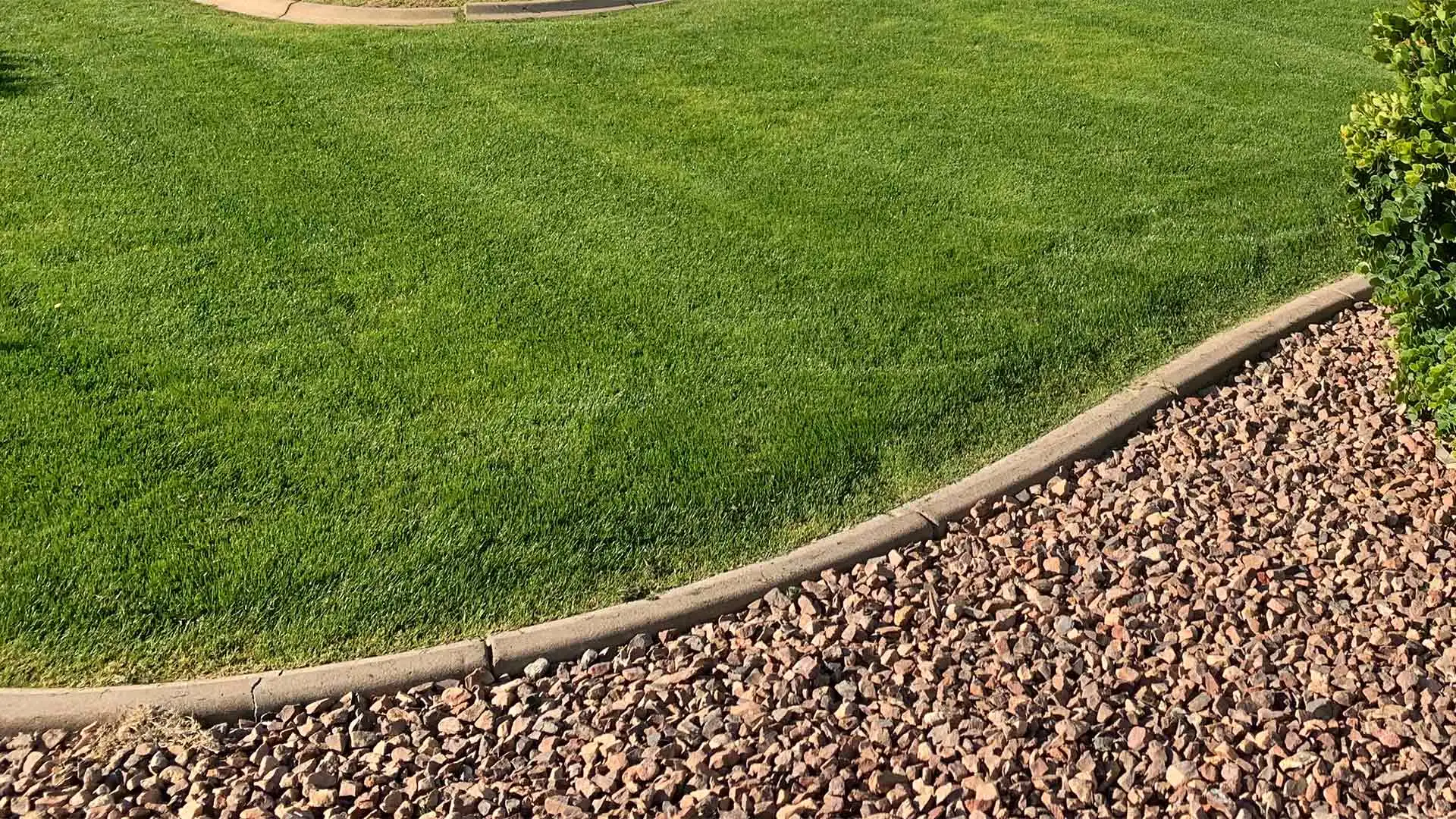 Yard Cleanups - More Than Just for Curb Appeal
