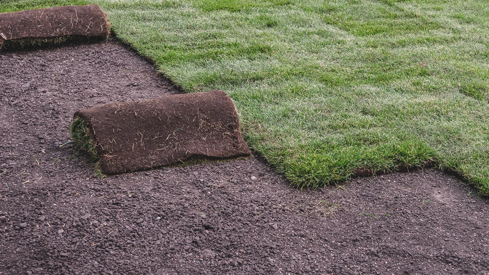 4 Common Questions We Get Regarding Caring for Newly Installed Sod
