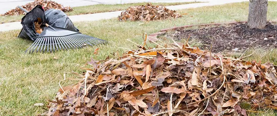 Yard debris prepared for removal in Gilbert, AZ.