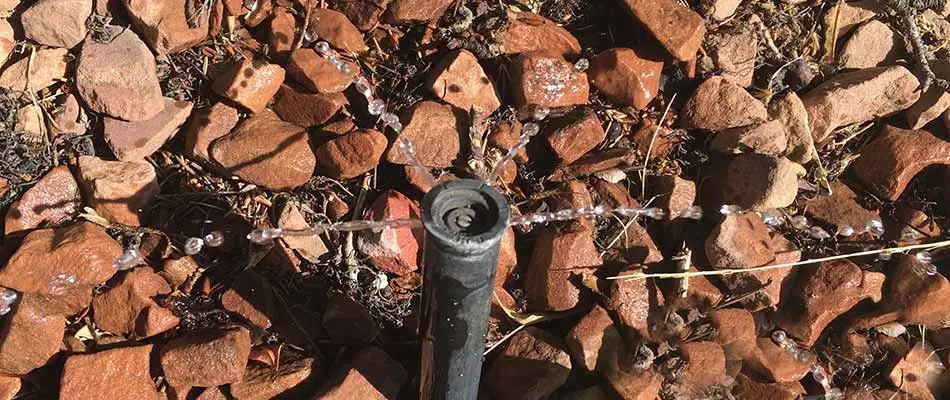 Broken irrigation sprinkler leaking water in Gilbert, AZ