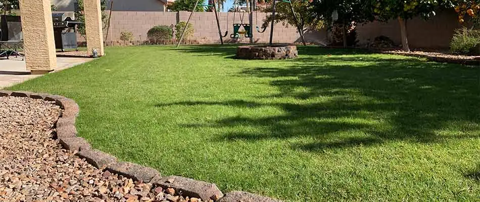 Gilbert, AZ property with lawn care services.