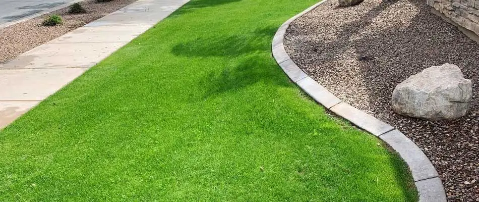 Beautiful, green home lawn in Gilbert, AZ.