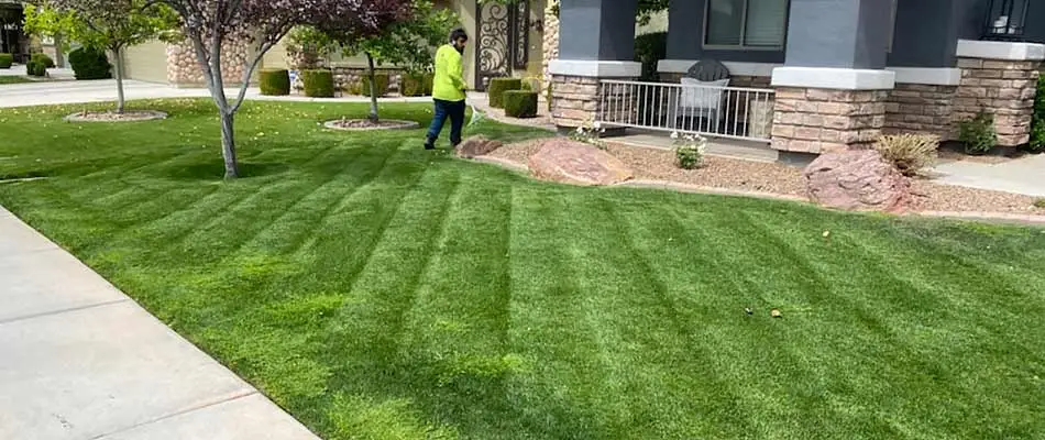 Queen Creek, AZ yard with regular lawn care services.