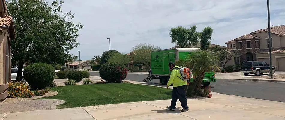 Clearing debris after a yard cleanup service in Mesa, AZ.