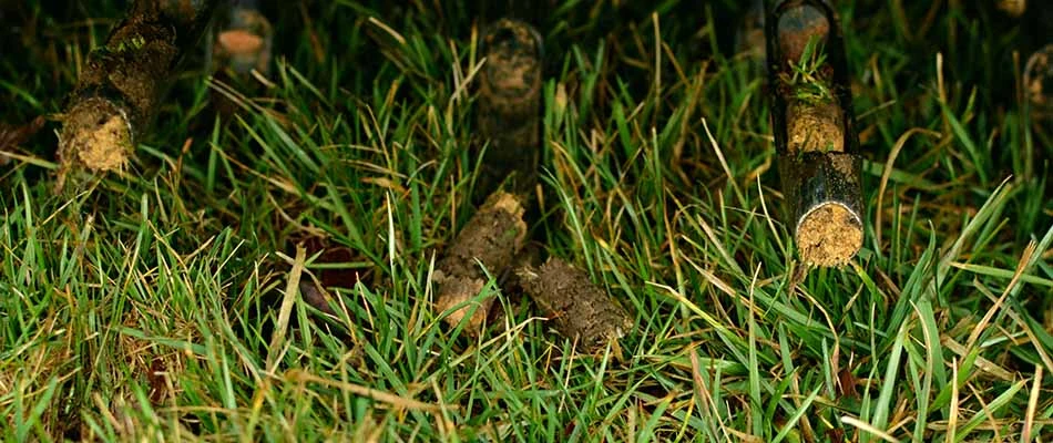 Core aerator in lawn in Mesa, AZ.