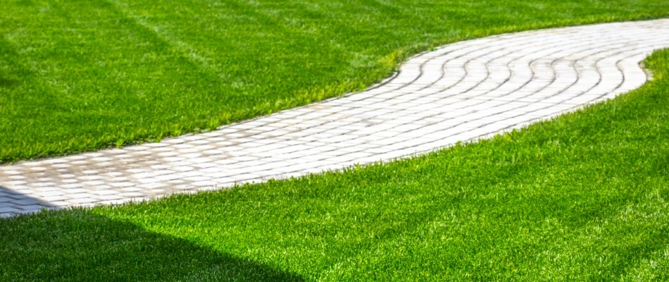 Different directions of mowing pattern to lawn in Gilbert, AZ.