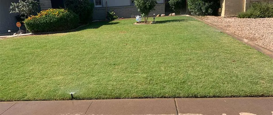 New irrigation system installed at a home in Chandler, AZ.