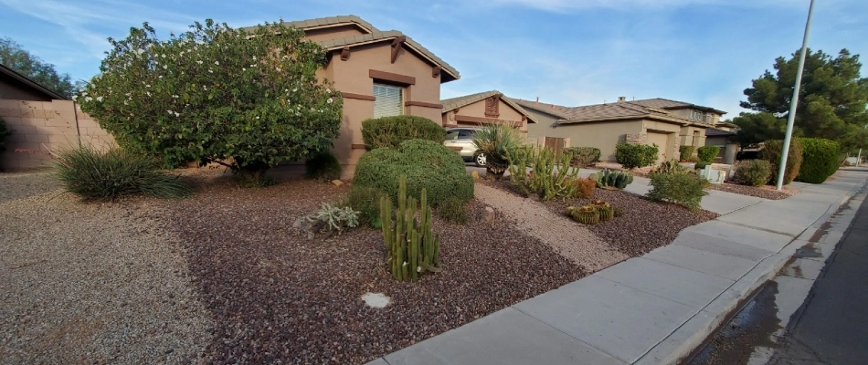 Rock installed landscape bed for front yard in Gilbert, AZ.