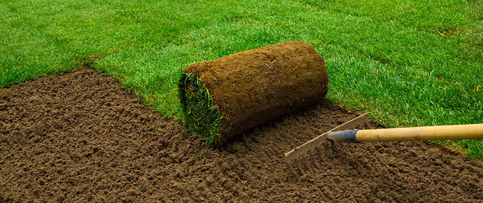 A professional prepping a customer's home soil for new sod installation in Chandler, AZ.