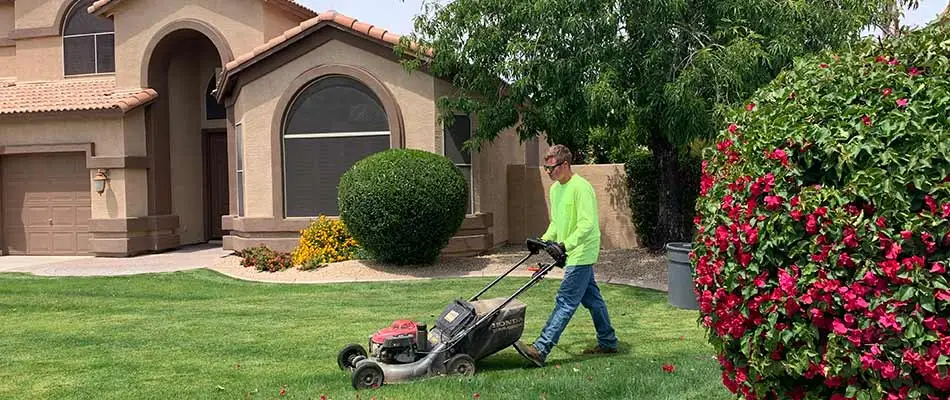 Lawn mowing services performed in Chandler, AZ.