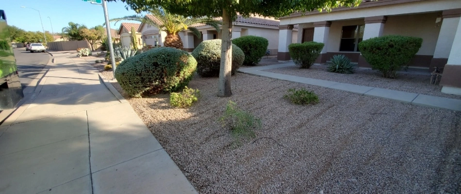 Lawn with rock installed for landscaping in Gilbert, AZ.