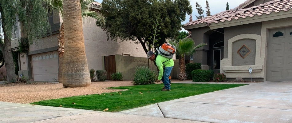 Leaf removal serviced by Little John employee in Gilbert, AZ.