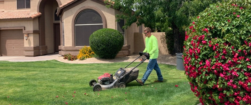 Little John's worker mowing lawn for client in Chandler, AZ.