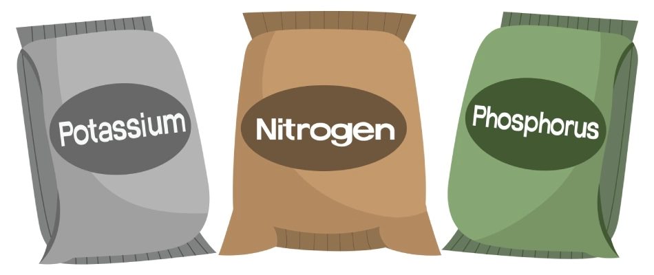 Nutrients in fertilizer treatment in Chandler, AZ.