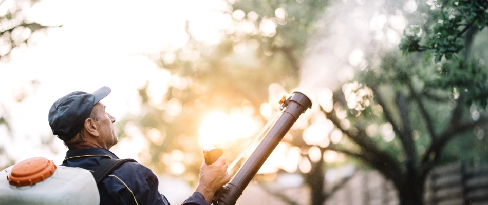 Professional using backpack fogger to apply mosquito treatment to property in Mesa. AZ.