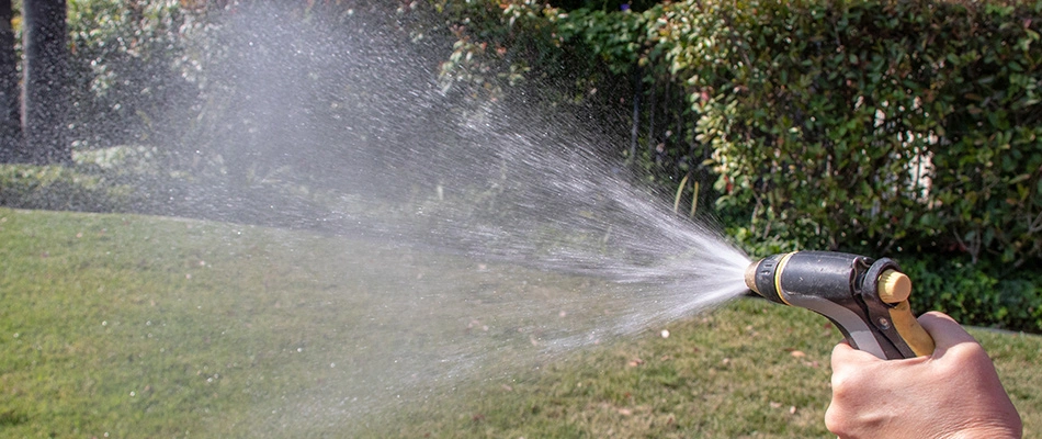 A professional watering a lawn in Chandler, AZ.