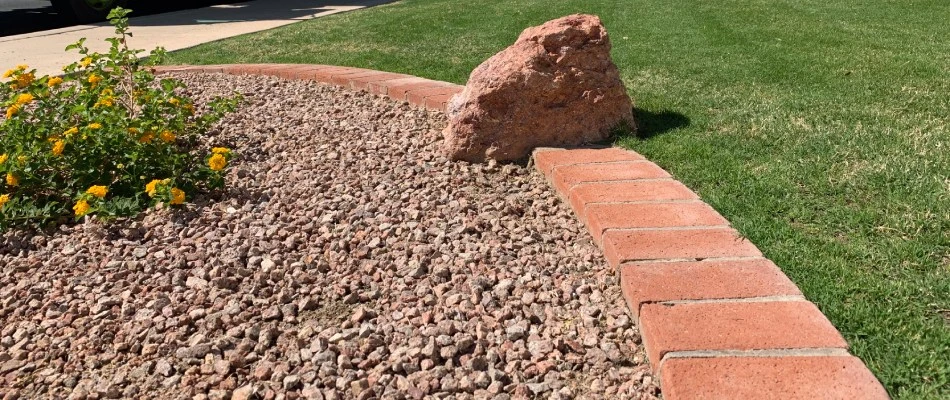 Rock ground covering added for landscape bed in Gilbert, AZ.