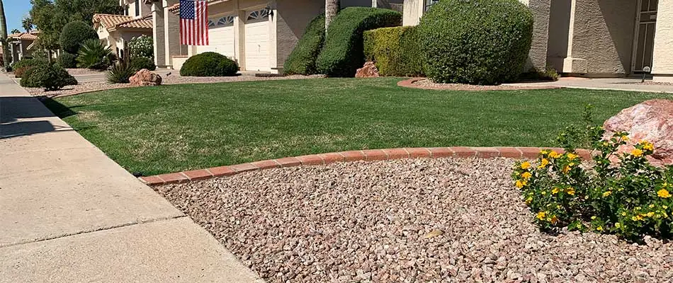 Rock mulch landscape bed with no weeds in Mesa, AZ.
