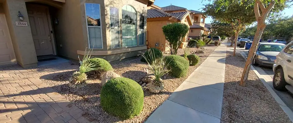 Rock mulch landscape bed without weeds in Chandler, AZ.
