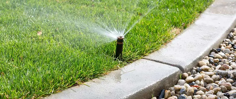 Sprinkler installation watering a lawn in Mesa, AZ.