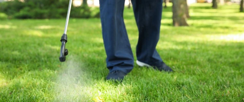 Technician applying pre-emergent weed control to lawn in Mesa, AZ.