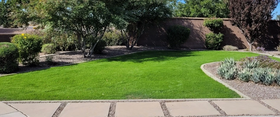 Luscious green lawn after services done by Little John's in Mesa, AZ.