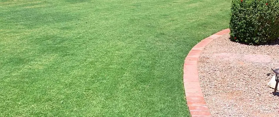 Weed-free home lawn with weed control services in Mesa, AZ.