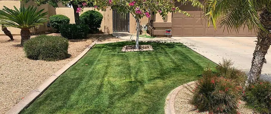 Queen Creek, AZ yard with lawn mowing service.