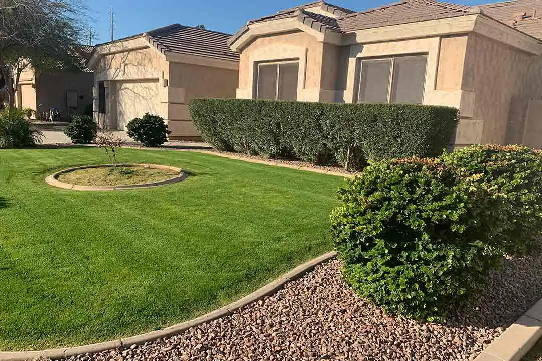 Green lawn with landscaping services in Gilbert, AZ.