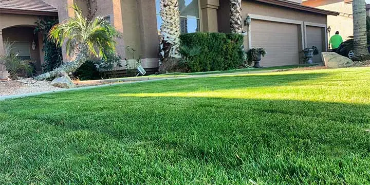 Home lawn with lawn care services in Gilbert, AZ.