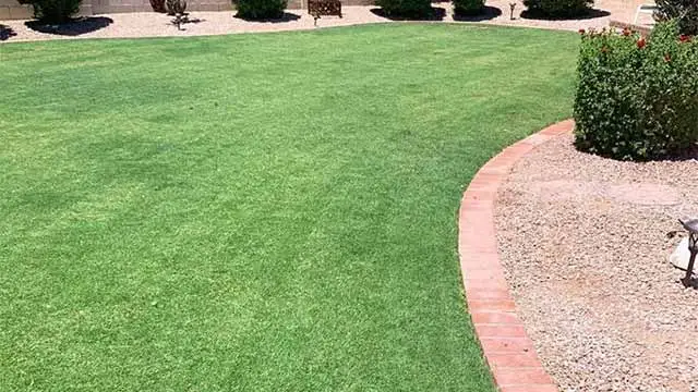 Lawn with fertilization services in Queen Creek, AZ.