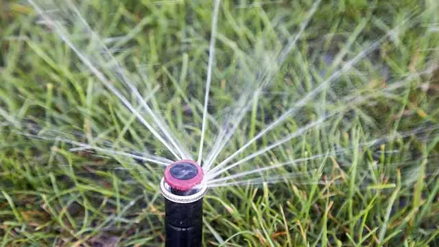 A sprinkler system watering a Gilbert, AZ lawn.